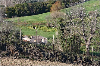 Anteprima - Clicca per ingrandire